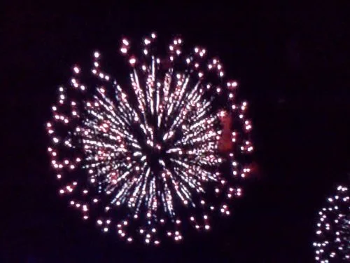 Fireworks bursting in the night sky on New Year's Eve